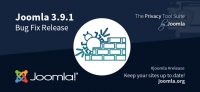 Joomla 3.9.1