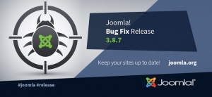 Joomla 3.8.7